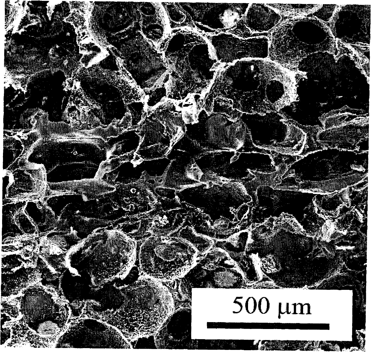 Multi-layer porous scaffold and preparation method thereof