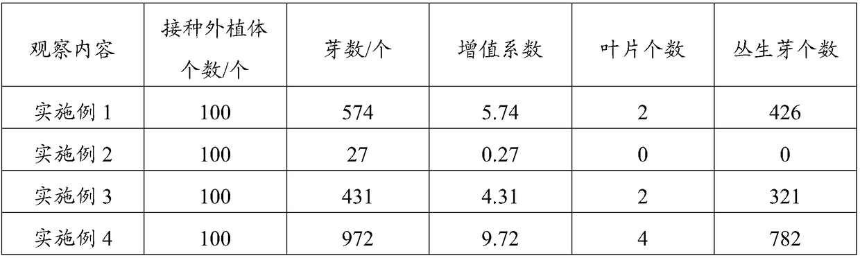 A kind of culture medium and method of silk cotton wood tissue culture