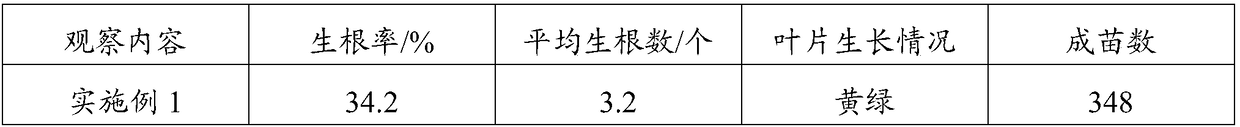 A kind of culture medium and method of silk cotton wood tissue culture