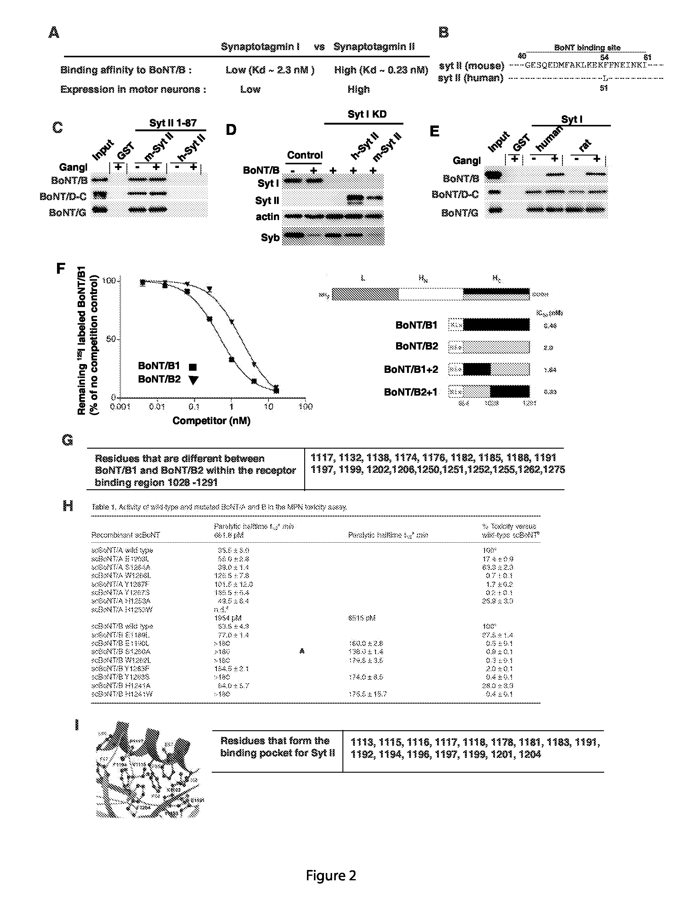 Engineered botulinum neurotoxin