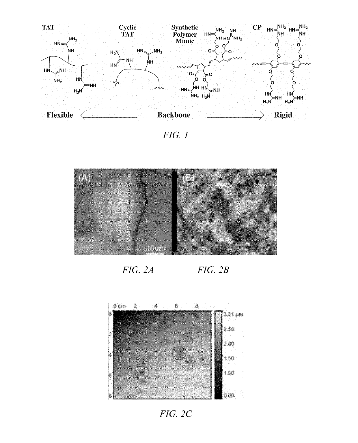 Modulated guanidine-containing polymers or nanoparticles