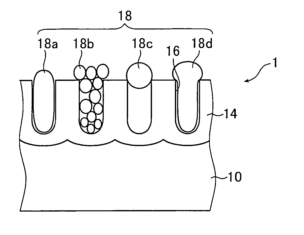 Fine structural body and method of producing the same