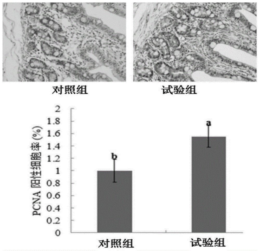 Pig feed for promoting intestinal development of piglets and application of pig feed