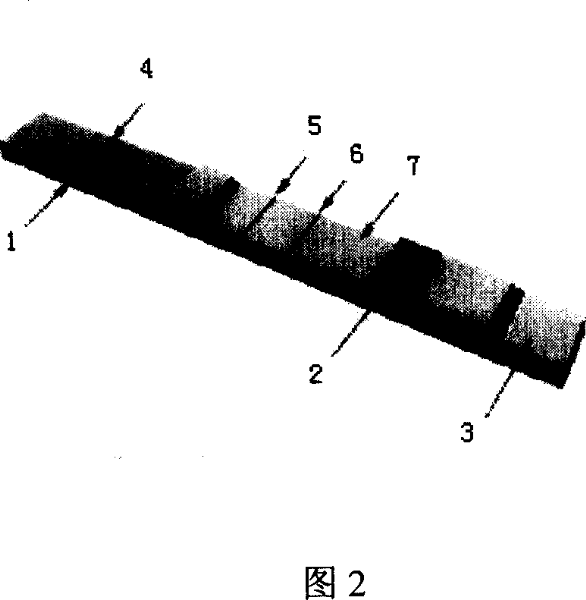 Test paper for rapid diagnosing livestocks schistosomiasis japonica