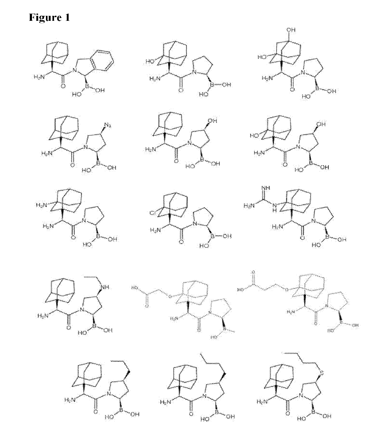 Dash inhibitors, and uses related thereto