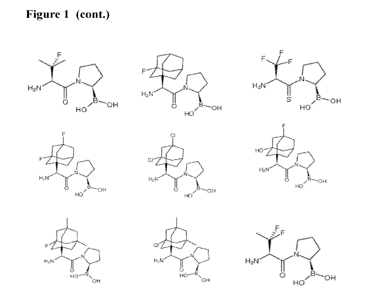 Dash inhibitors, and uses related thereto