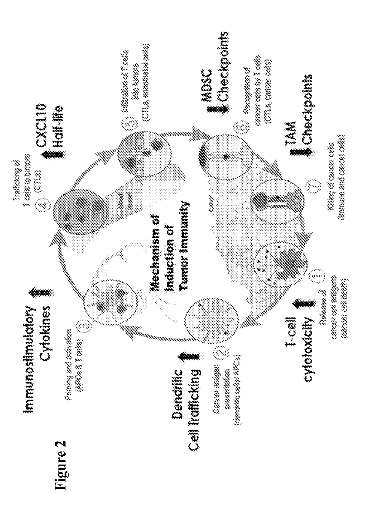 Dash inhibitors, and uses related thereto