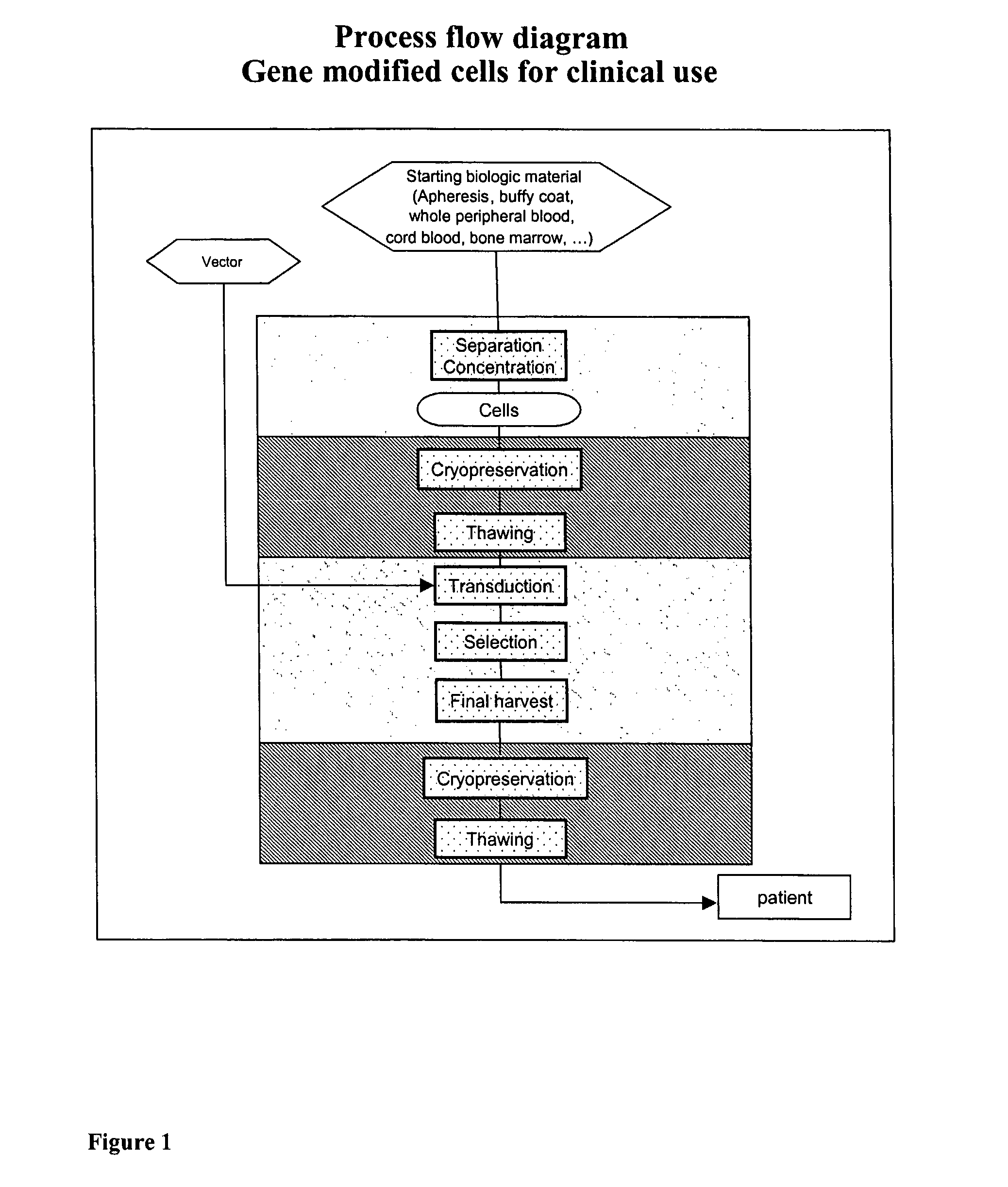 Cell preparation