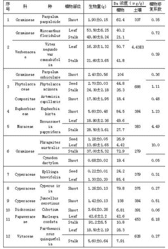 Novel method for evaluating potential of soil contaminated by phytoremediation radionuclide