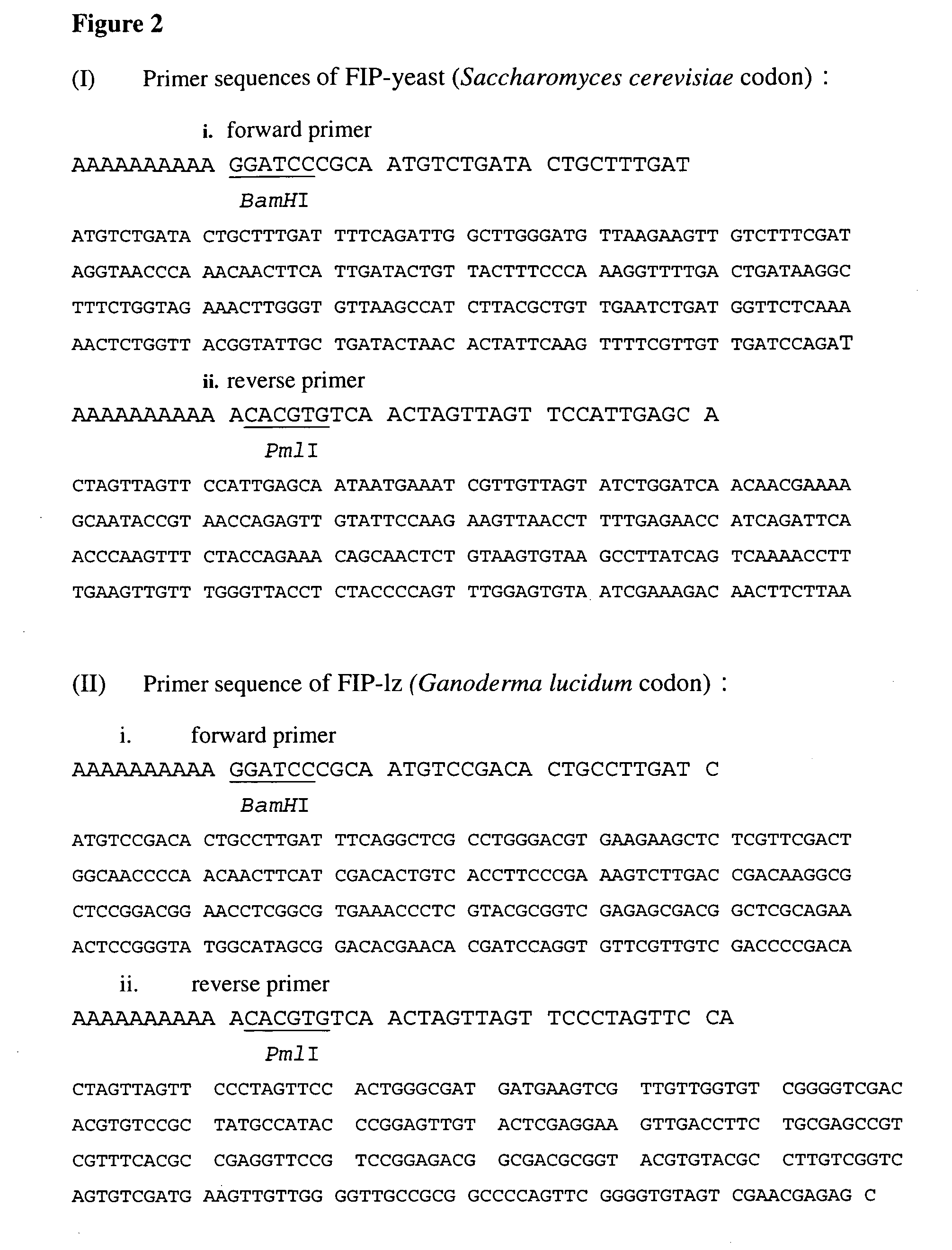 Fungal immunomodulatory protein (fip) prepared by microorganisms and uses thereof