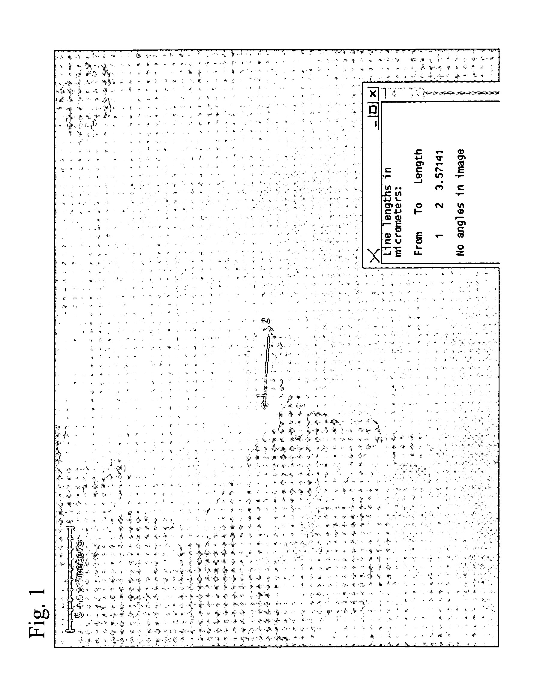 Multi-functional microencapsulated additives for polymeric compositions