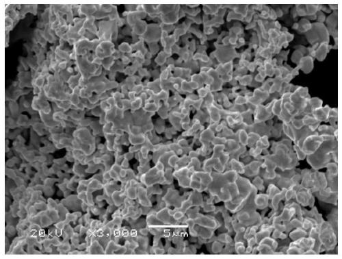 Vacuum hot pressing sintering preparation method of a high-purity tantalum-ruthenium alloy target