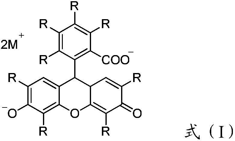 Visible light-initiated photoinitiator composition for 3D printing technology and application of visible light-initiated photoinitiator composition