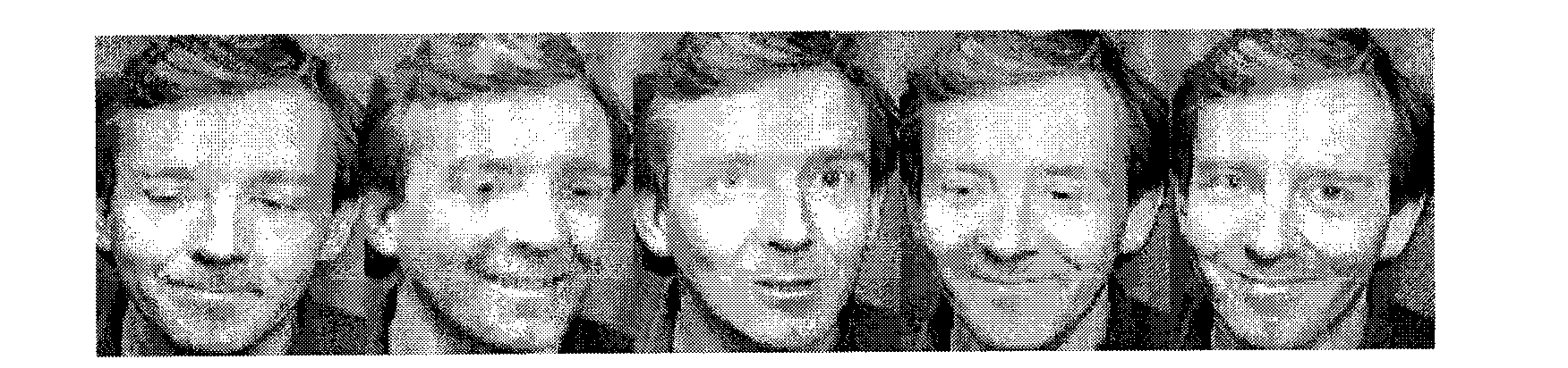 Human face recognition method based on supervision isometric projection