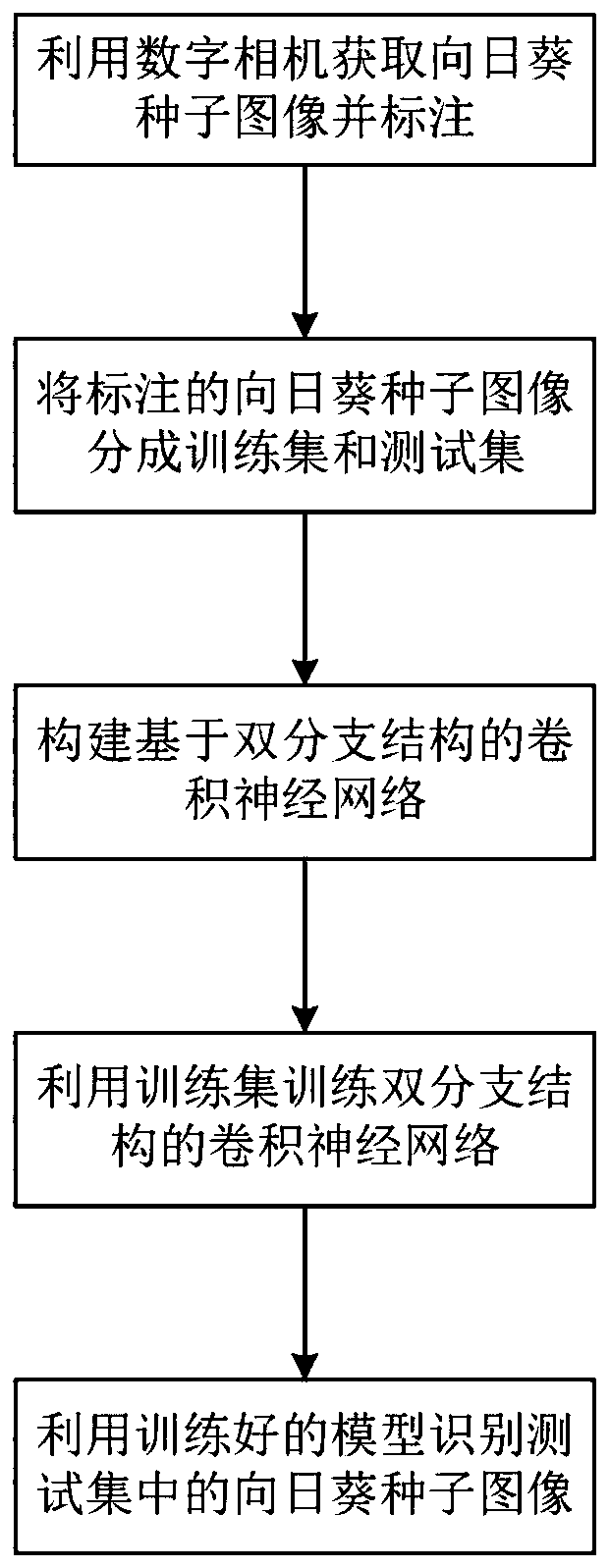 Sunflower seed sorting method based on double-branch convolutional neural network