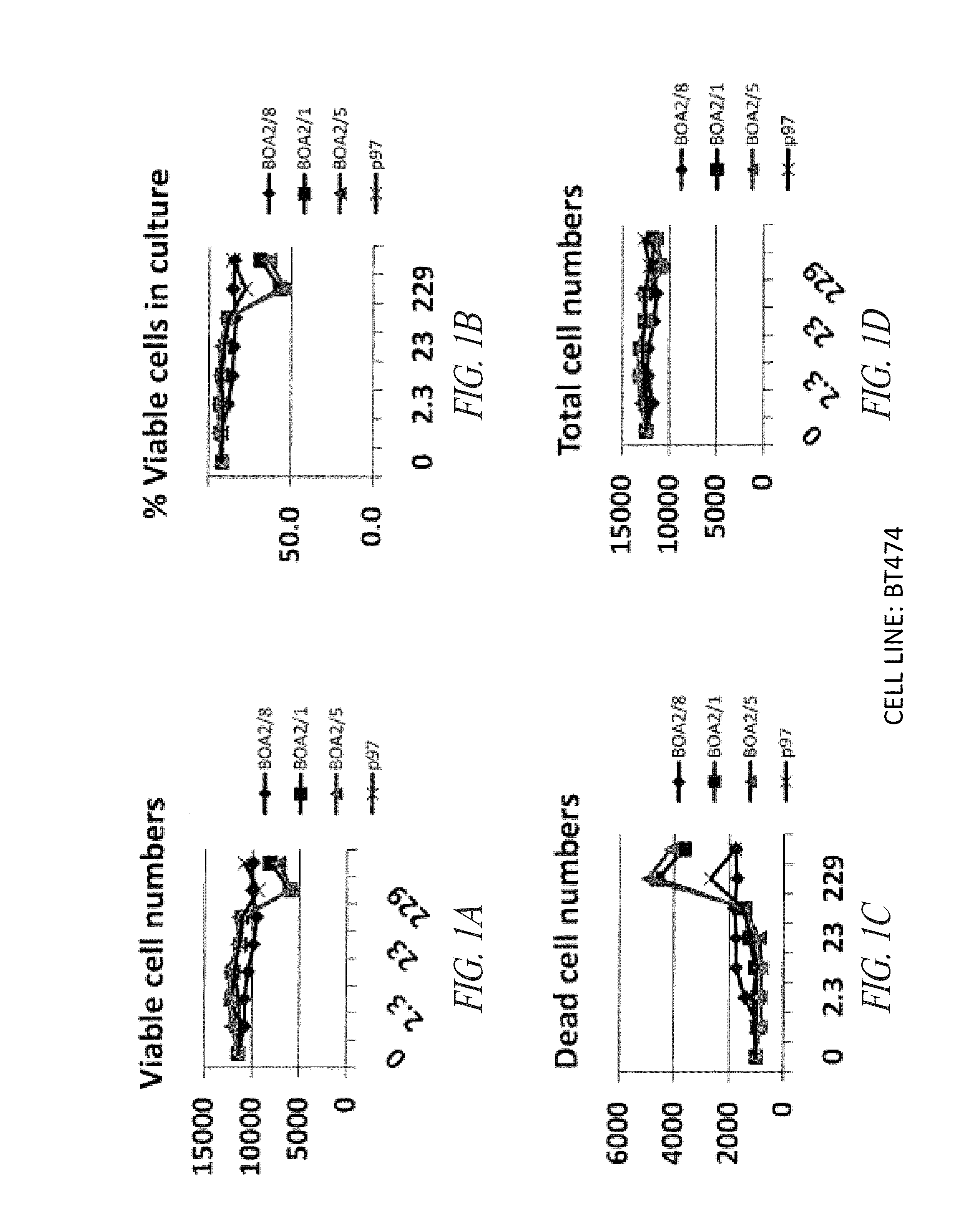 P97-antibody conjugates and methods of use