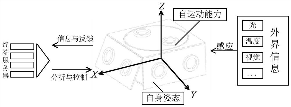 Self-reconstitution cell star device