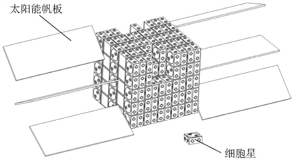 Self-reconstitution cell star device