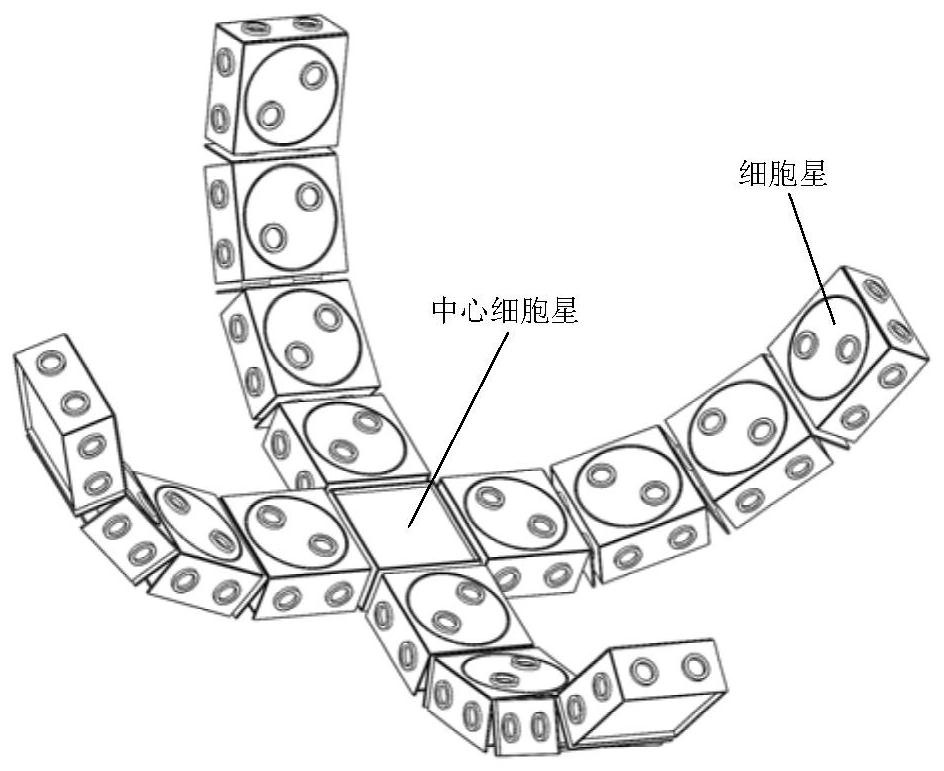 Self-reconstitution cell star device