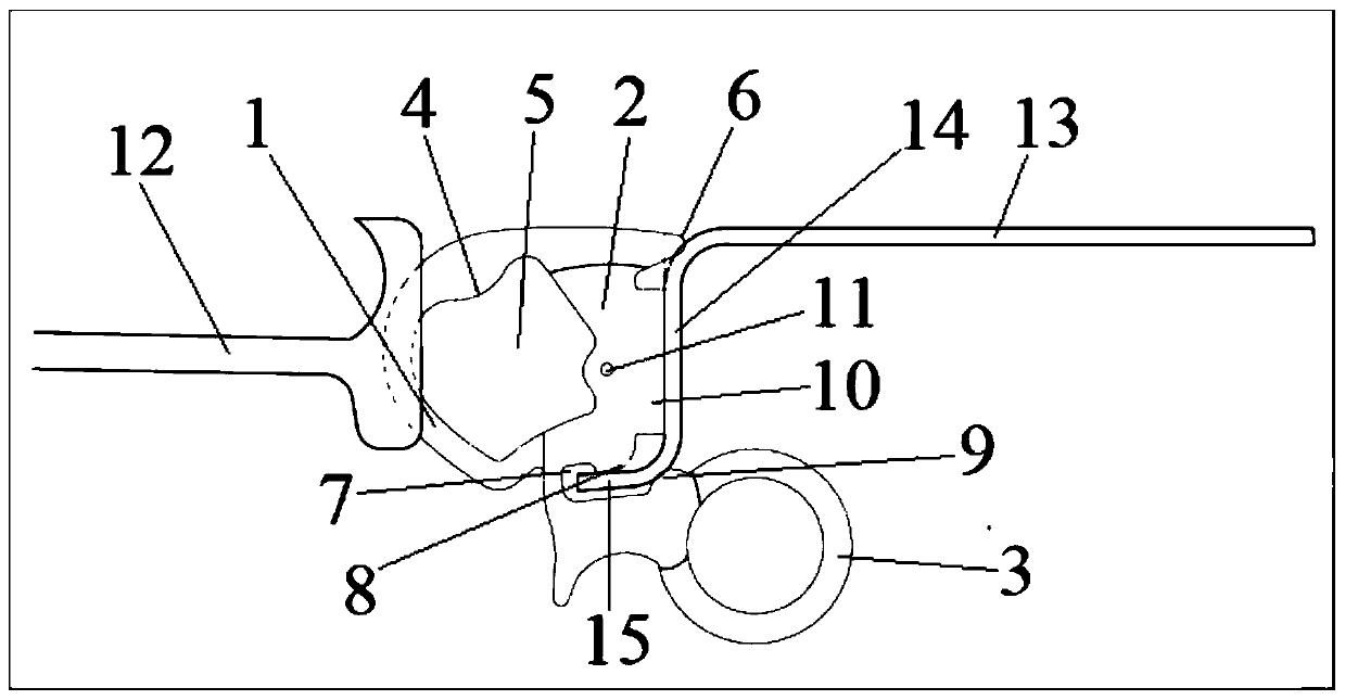 Automobile skylight sealing strip with partition structure