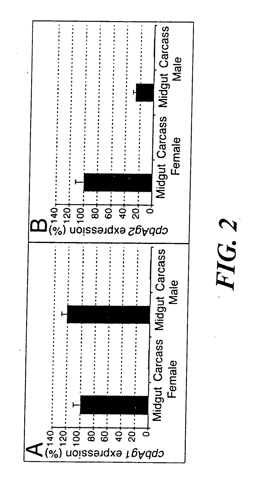 Carboxypeptidases B from anopheles gambiae. compositions comprising them, vaccine applications and use as therapeutical targets