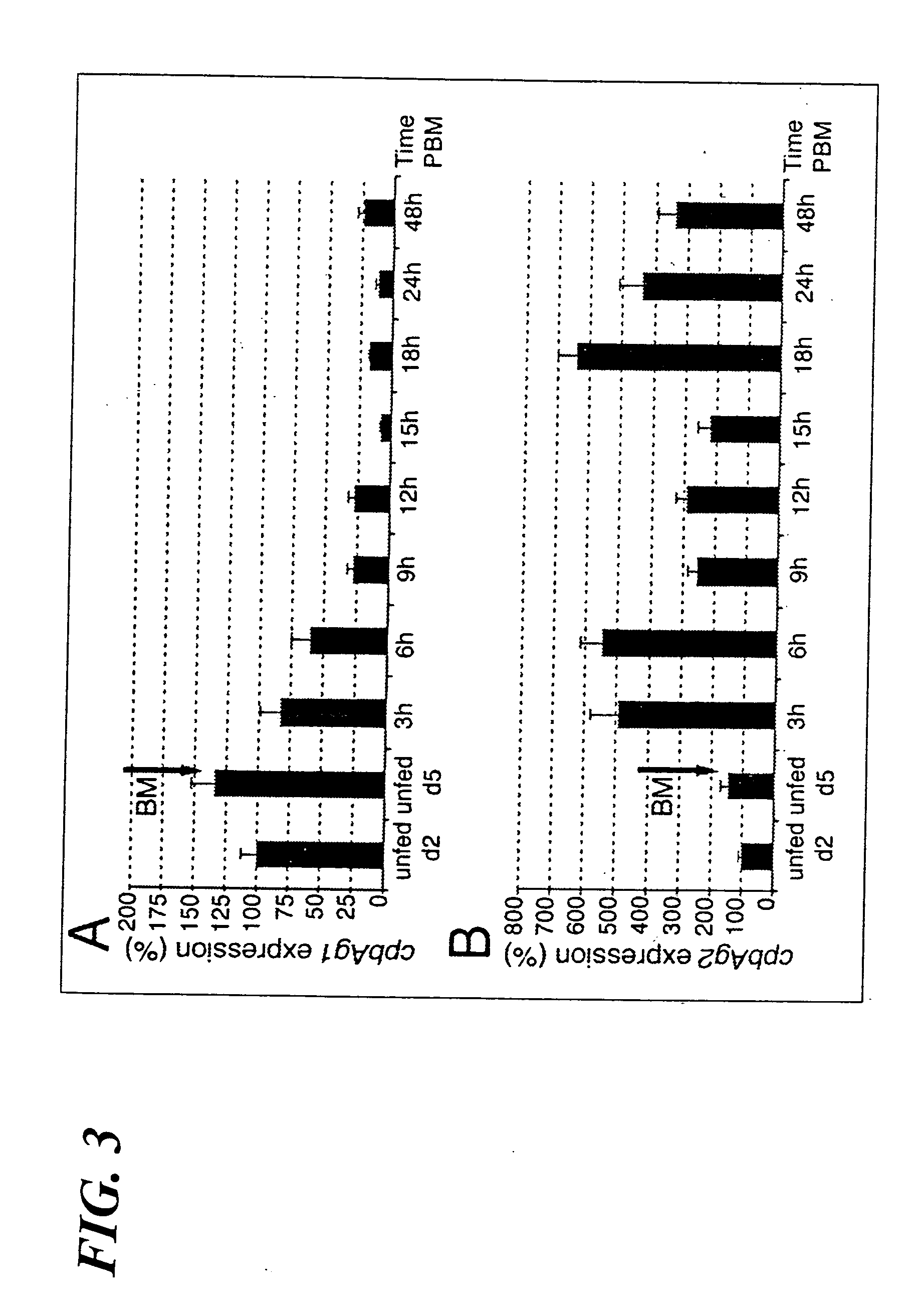 Carboxypeptidases B from anopheles gambiae. compositions comprising them, vaccine applications and use as therapeutical targets