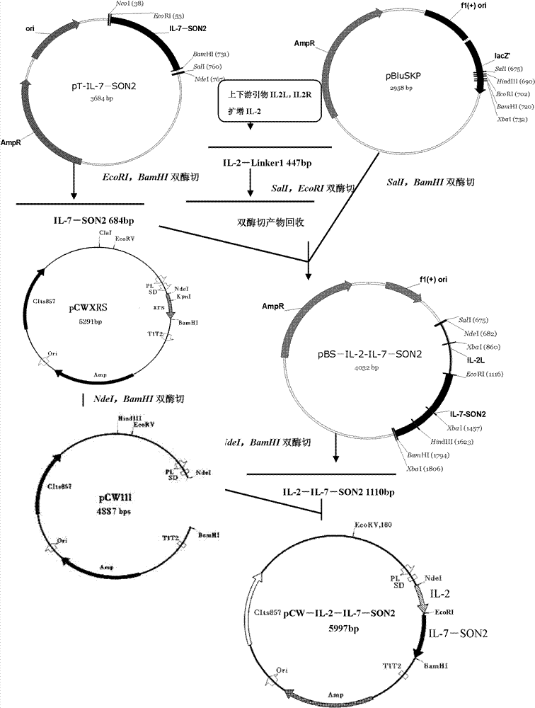 Composite medicine for targeted elimination of HIV/SIV