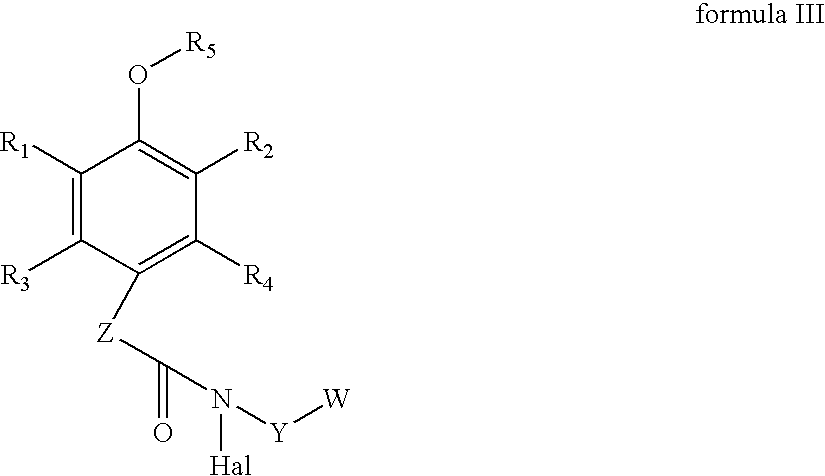 Spirolactams and their synthesis