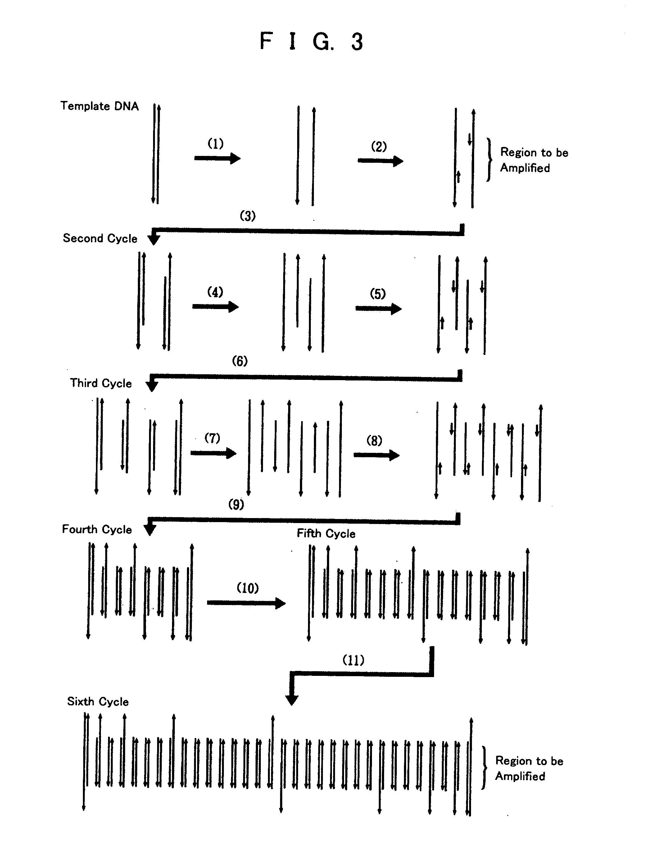 PCR and hybridization methods utilizing electrostatic transportation and devices therefor