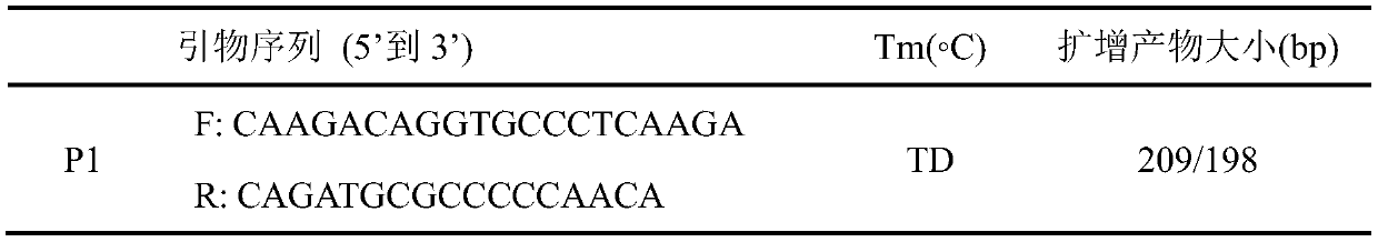 Method for detecting of goat DNMT3B gene insertion/deletion polymorphism and application of method