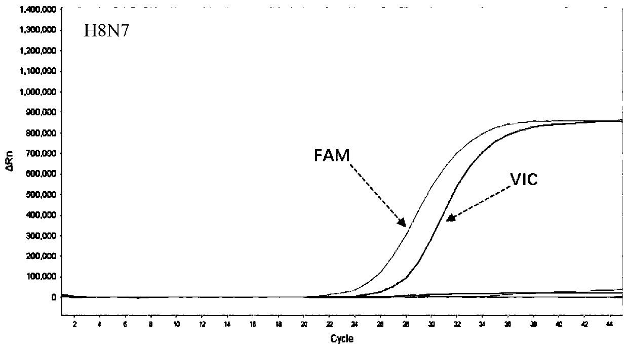 Joint detection kit and method of influenza A virus H8N7 and H13N6