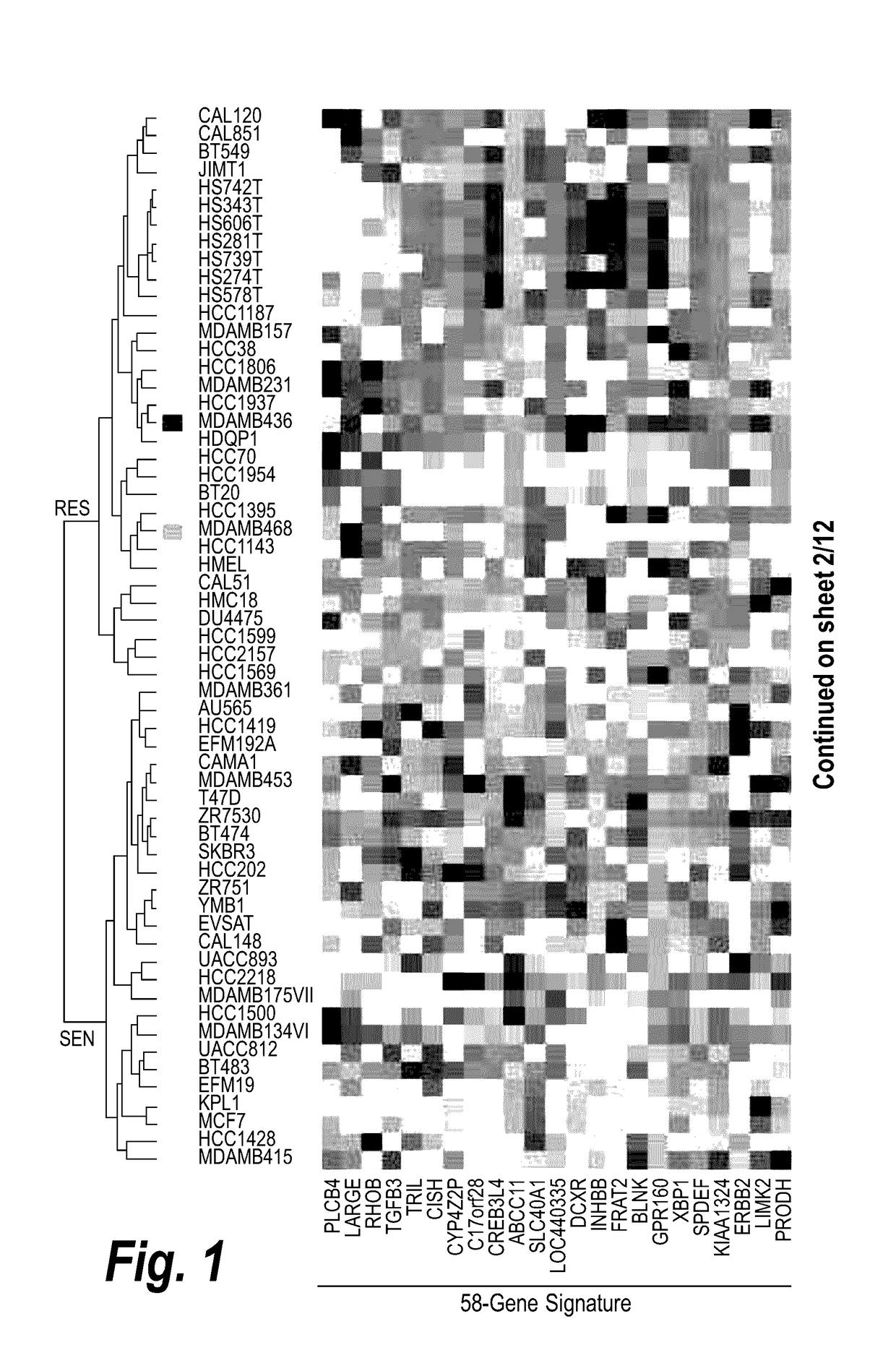 Biomarkers to identify patients that will respond to treatment and treating such patients