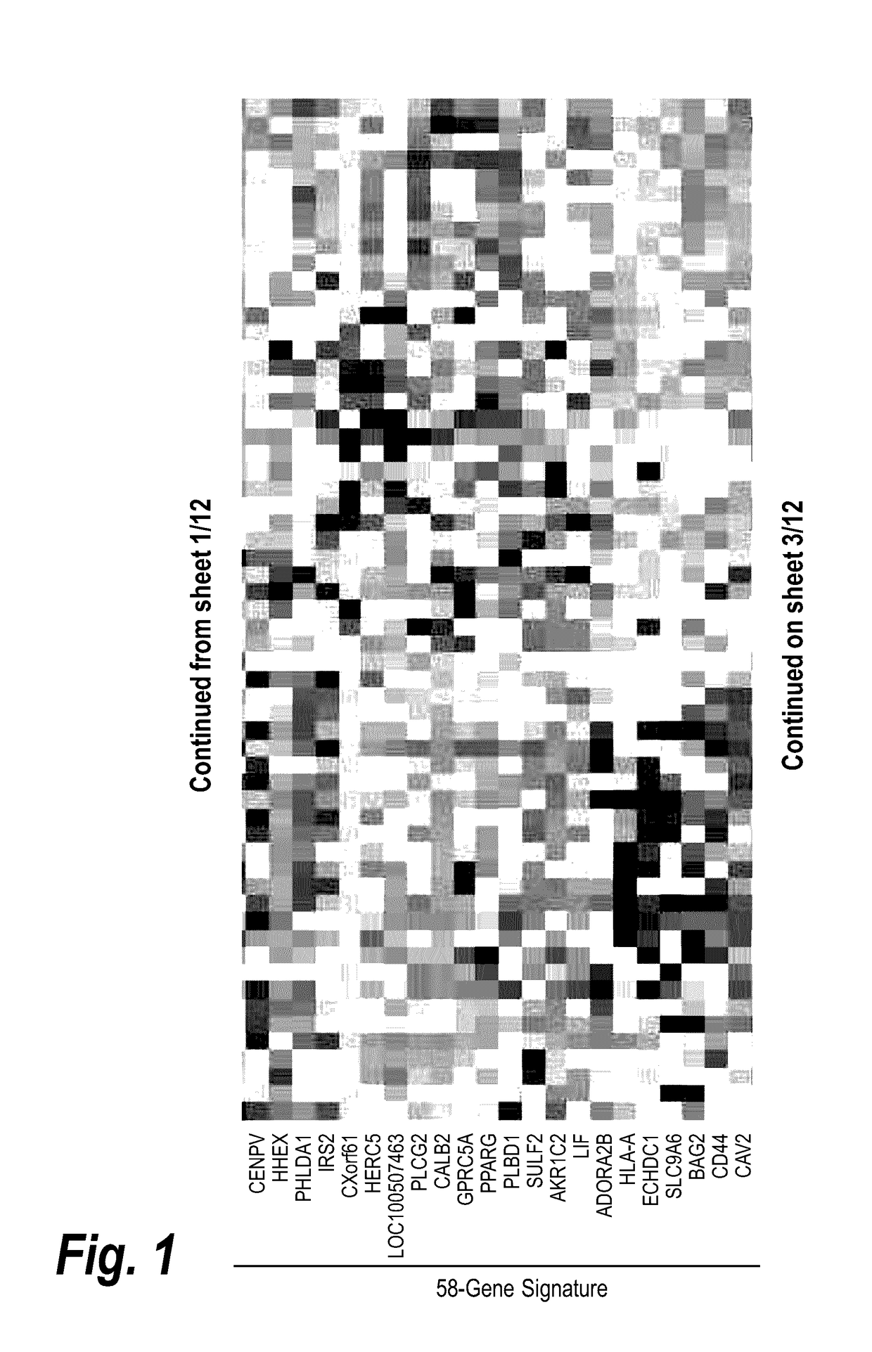 Biomarkers to identify patients that will respond to treatment and treating such patients