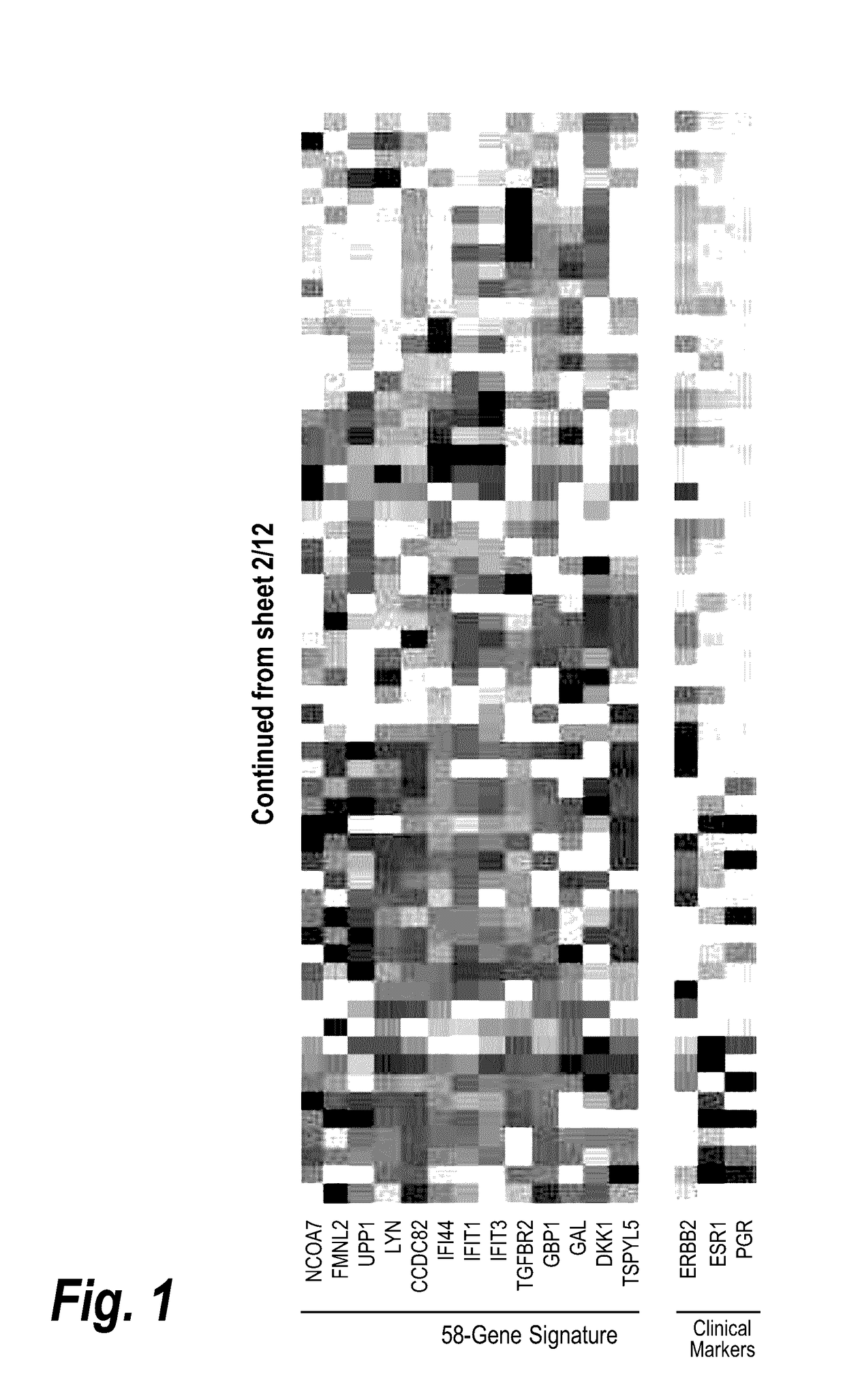 Biomarkers to identify patients that will respond to treatment and treating such patients