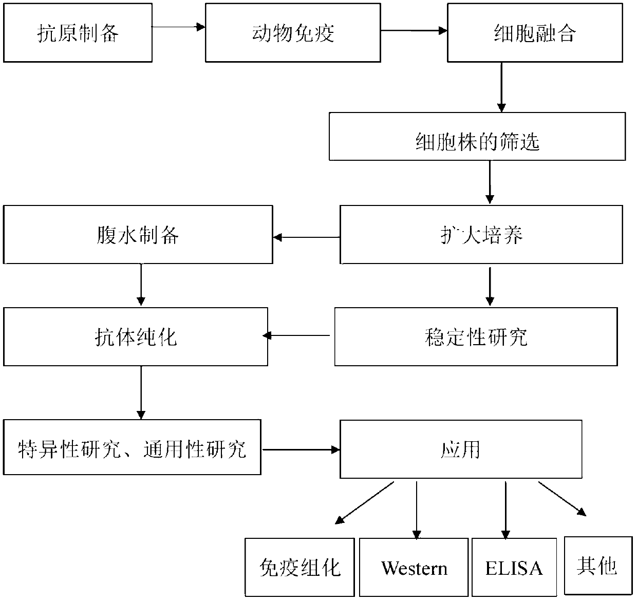 Haemophilus parasuis outer membrane protein P5 (OMP5) resistant monoclonal antibody, hybridoma cell strain and application