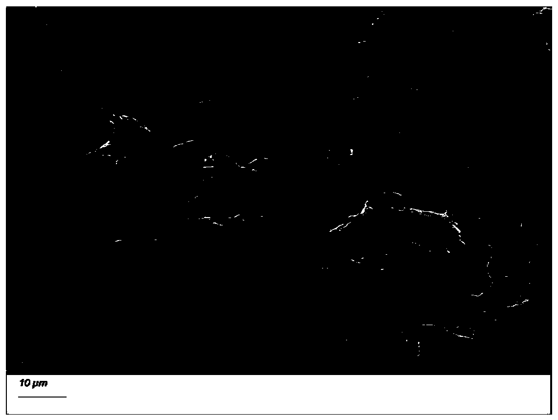 Silicon-carbon negative electrode material, preparation method and lithium ion battery