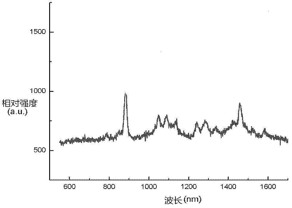 Preparation method of core-shell type nanoparticle