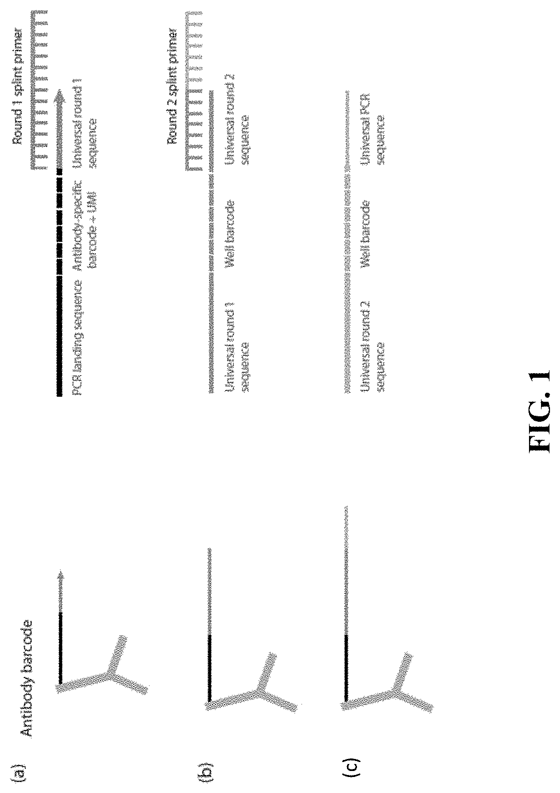 Single cell/exosome/vesicle protein profiling