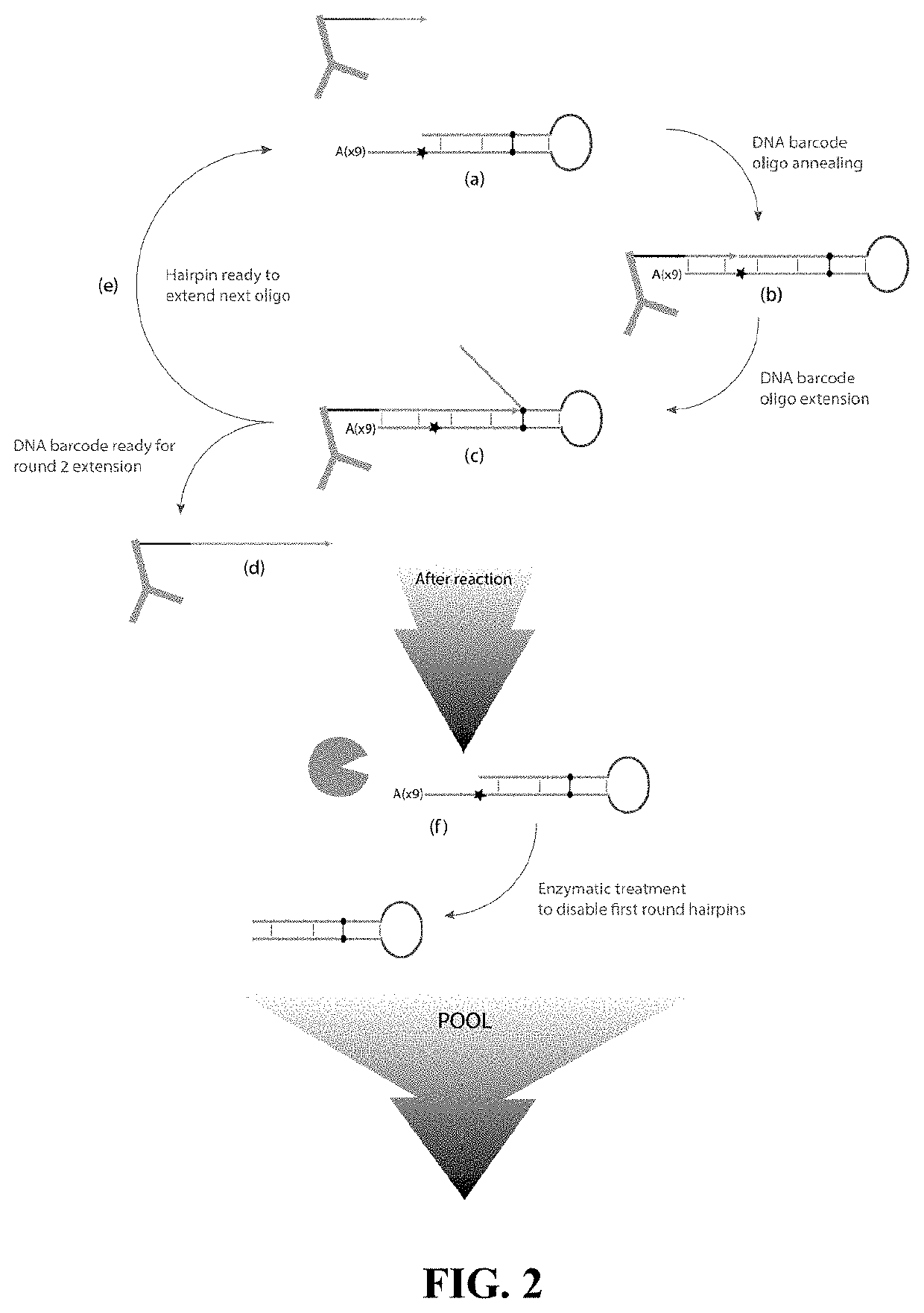 Single cell/exosome/vesicle protein profiling