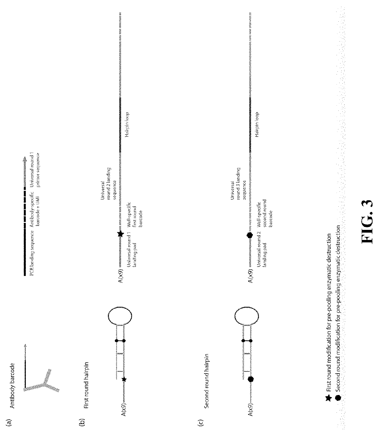 Single cell/exosome/vesicle protein profiling