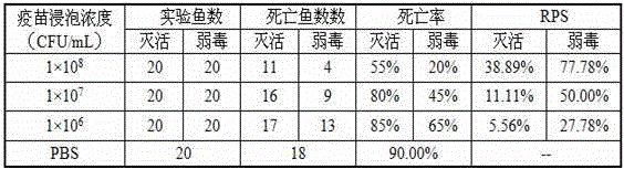 Attenuated Strain of Streptococcus agalactiae from Tilapia and Its Application