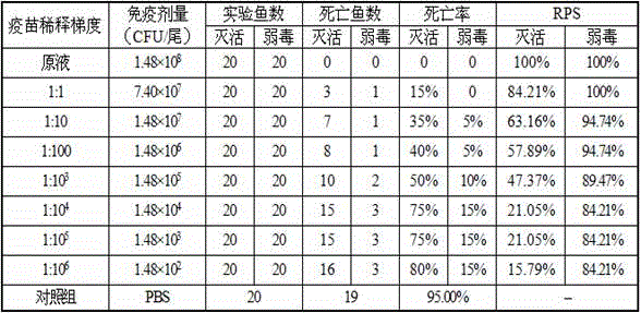 Attenuated Strain of Streptococcus agalactiae from Tilapia and Its Application