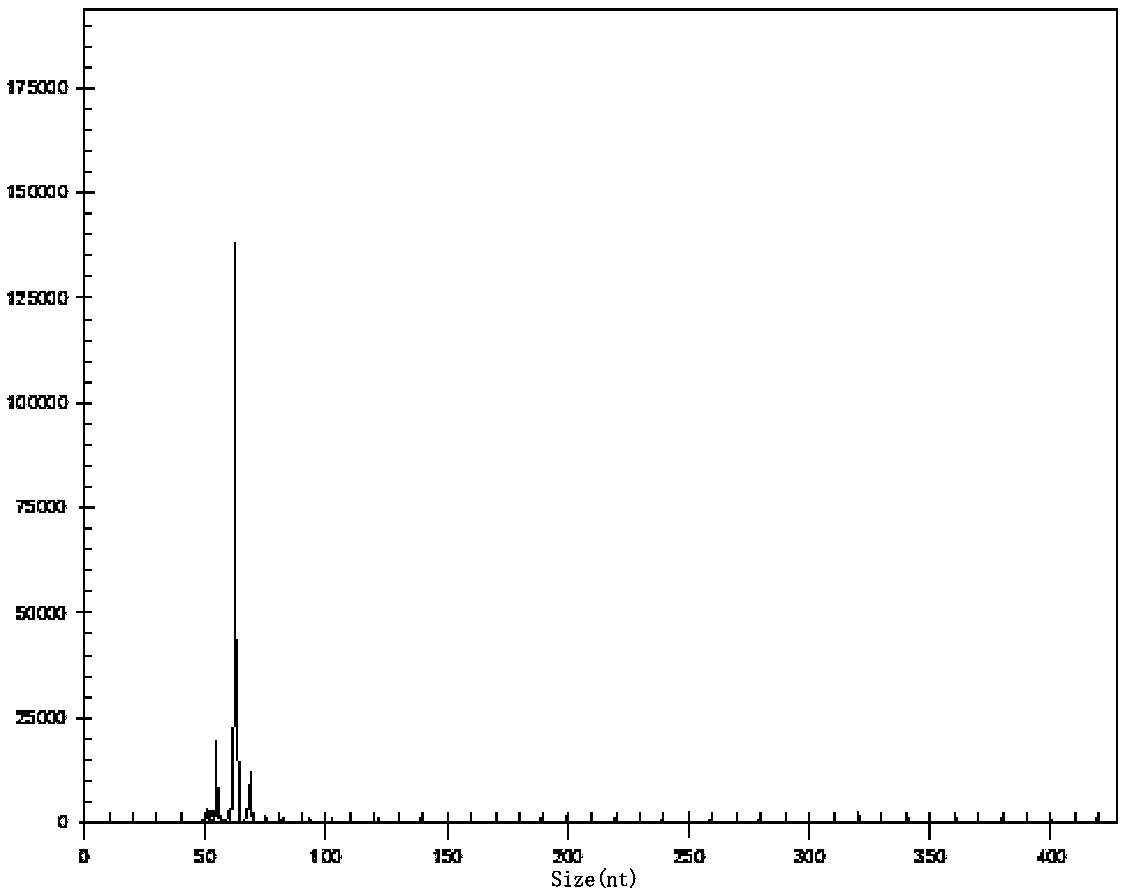 Helicobacter pylori quantitative and virulence multiple gene detection system and its kit and application