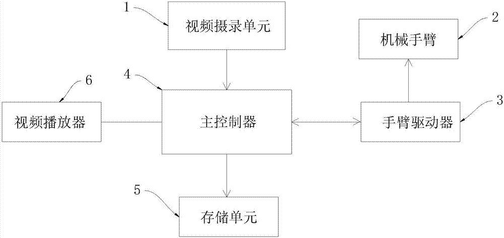 Video stimulation auxiliary system and method for neurological rehabilitation