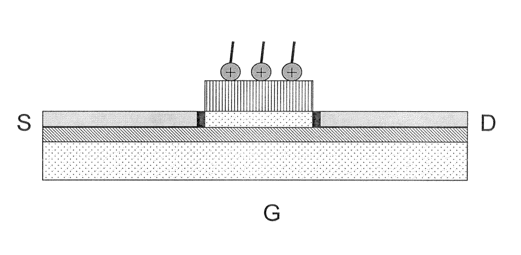 Schottky junction si nanowire field-effect bio-sensor/molecule detector