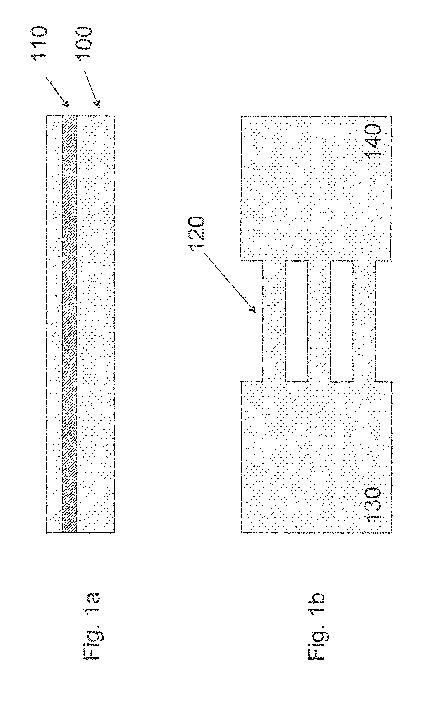 Schottky junction si nanowire field-effect bio-sensor/molecule detector