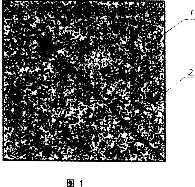 Tobacco virus abrasive paper frictional inoculation method