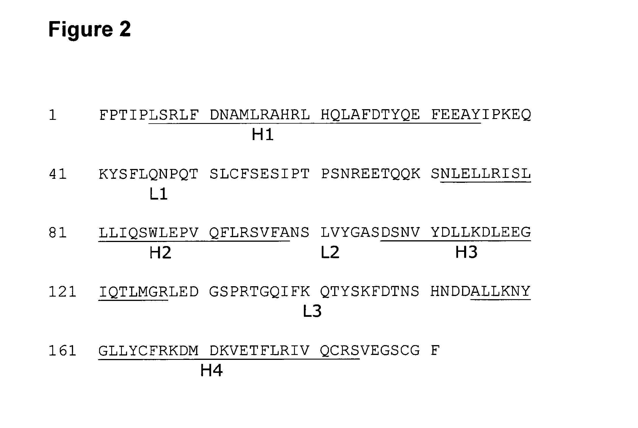 Stable growth hormone compounds