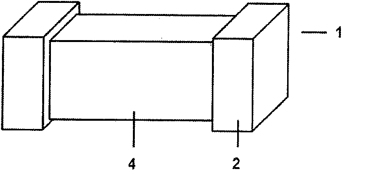 Chip ferrite product electro-plating pre-treatment method