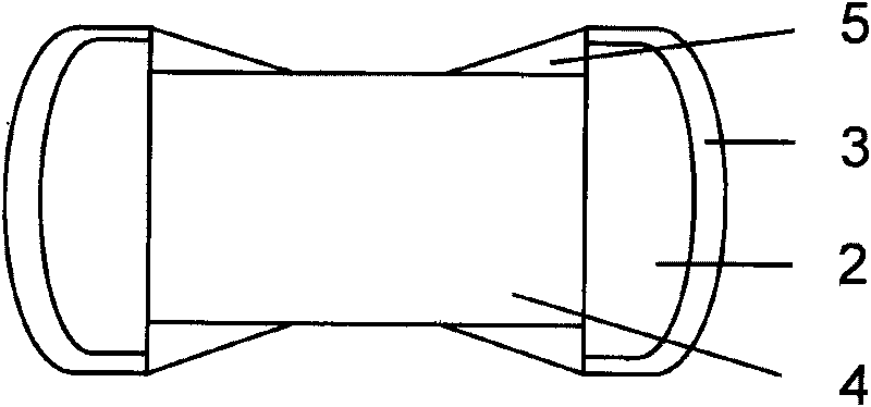 Chip ferrite product electro-plating pre-treatment method